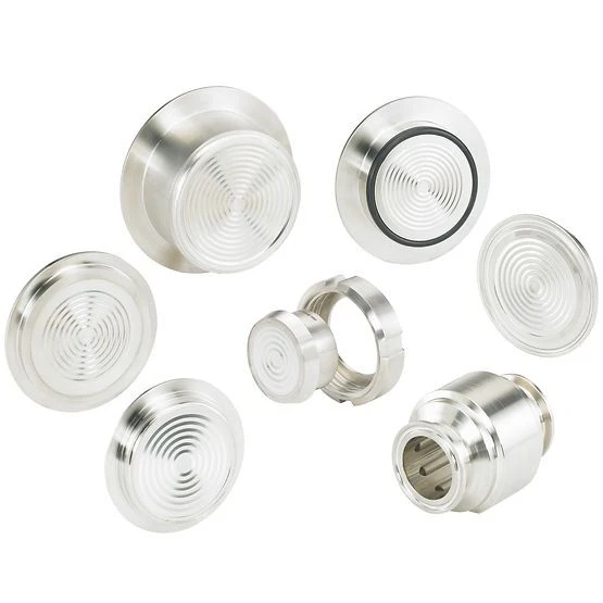 rosemount-1199-diaphragm-seal-system-3-diagphragm-and-seals